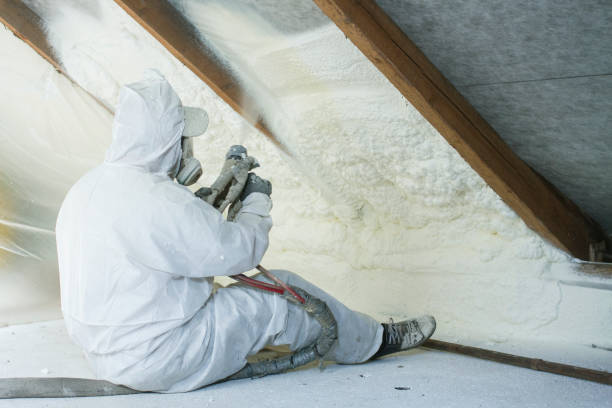 Best Blown-In Insulation  in USA